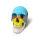 3 Parts Life Size Didactic Exploded Head Skull Model