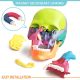 Didactic Palm-Sized Anatomy Skull Model with 15 Parts