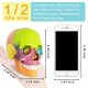 Didactic Palm-Sized Anatomy Skull Model with 15 Parts