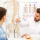 Human Skeleton Model for Anatomy Life Size 70.8 in with Rolling Stand