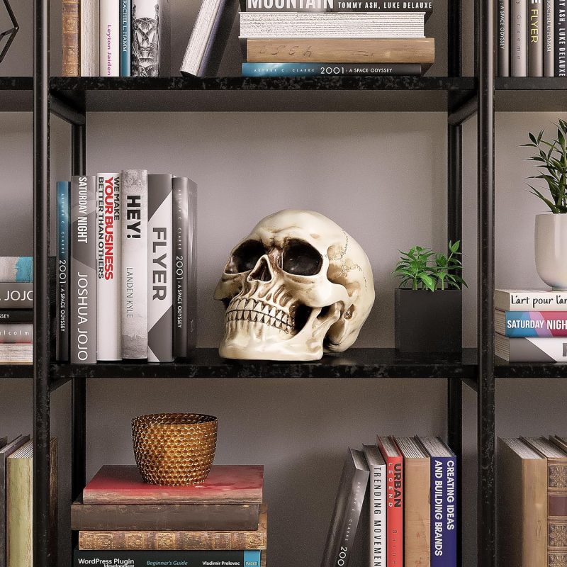 Life Size Human Skull Model 1:1 Replica Realistic Human Adult Skull Head Bone Model
