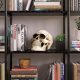 Life Size Human Skull Model 1:1 Replica Realistic Human Adult Skull Head Bone Model