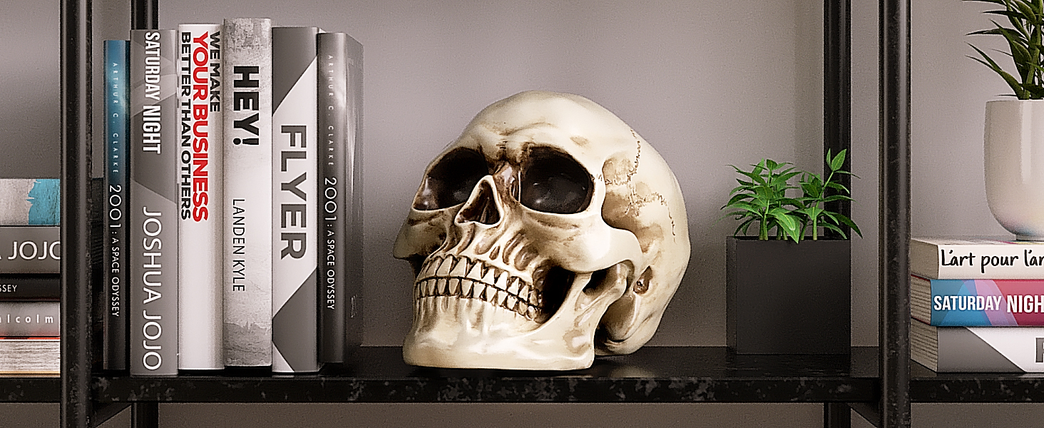 Life Size Human Skull Model 1:1 Replica Realistic Human Adult Skull Head Bone Model