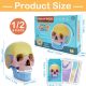 2024 New Anatomy Skull Model, 17 Parts Puzzle of Human Anatomy Skull, 10 Skull Knowledge Flash Cards, Detachable Palm Sized Mini Human Medical Skull Model, Medical Clinic Teaching Equipment, for Kids