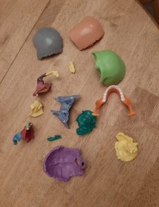 Didactic Palm-Sized Anatomy Skull Model with 15 Parts