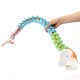 Flexible Colored Human Spine Model with Pelvis Life-size