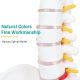 Life-Size Flexible Human Spine with Removable Femur Heads