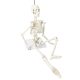 Mini Human Skeleton Model for Anatomy 17.7 inches