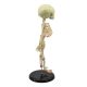 Mini Infant Fetus Skeleton Model