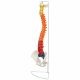 Premium Didactic Flexible Vertebral Column with Pelvic