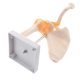 Human Skeletal Shoulder Anatomy Model with Functional Ligaments