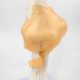 Life-Size Flexible Elbow Joint with Ligament