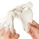 Life-Size Human Arm Skeleton with Clavicle, Scapula, and Articulated Hand Anatomy Model