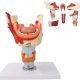 Cavities of the Nose Mouth and Throat with Larynx Anatomy Models, 10 Parts, 2x Life Size