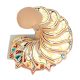 Disc Head Anatomical Model, Life Size, 12 Layers