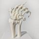Hand Skeleton Model W/Articulated Joints Articulated Joints Wrist Ulna and Radius