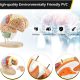 Human Brain Anatomy Model 2X Life Size
