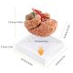 https://kicoscientific.com/wp-content/uploads/2024/04/Deluxe-Human-Brain-with-Arteries-8-Part-Life-Size-05.jpg