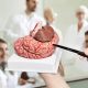 https://kicoscientific.com/wp-content/uploads/2024/04/Deluxe-Human-Brain-with-Arteries-8-Part-Life-Size-05.jpg