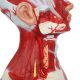 Human Head and Neck Anatomy Model with Superficial Muscles and Vasculature