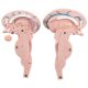 Enlarged Brain Stem Anatomy Model, 3 x Life Size, 2 Parts